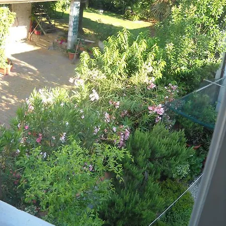 Charlie Chaplin Tamara