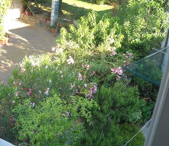 Charlie Chaplin Tamara